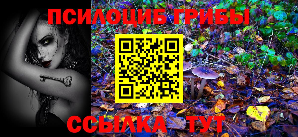 Псилоцибиновые грибы GOLDEN TEACHER  Псилоцибиновые грибы MAGIC MUSHROOMS  Вход с VPN  даркнет сайт  Соликамск 