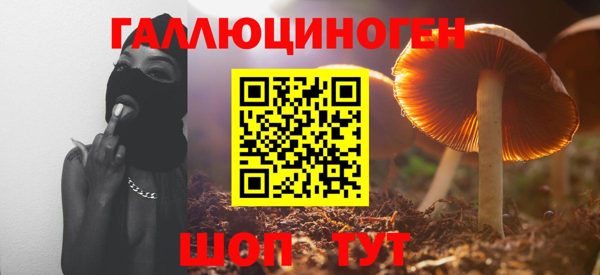 Галлюциногенные грибы прущие грибы Соликамск